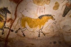 LA GROTTE DE LASCAUX (24)