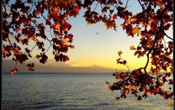 Le Lac - Alphonse de Lamartine