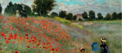 Les coquelicots