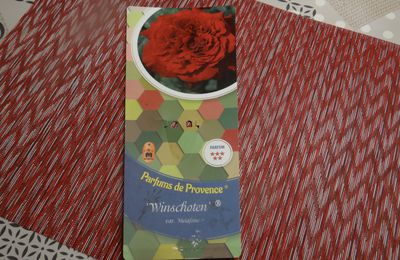 Parfum de Provence Rosier 'Winschoten'