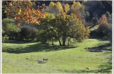Paysages Châtillonnais par Jean-Pierre Gurga...
