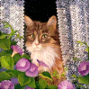 Cartonnettes Printemps chats ! 2018