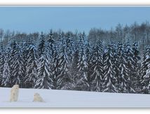 Ilona Meije et la neige.