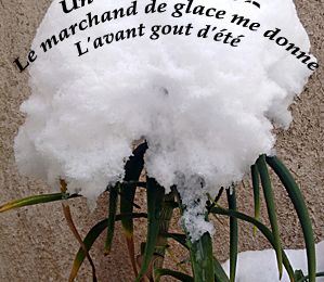 Avant goût d'été