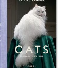 Textbooks online free download Walter Chandoha: Cats (English literature) 9783836573856 CHM FB2 DJVU