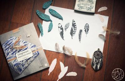 Petites cartes à plumes