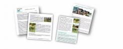 Les bulletins de saison