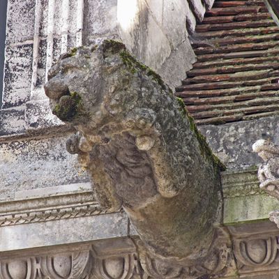 Les belles gargouilles de la Maison Philandrier et de l'ancien Auditoire Royal