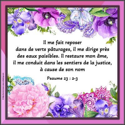 Psaume 23 : 2-3