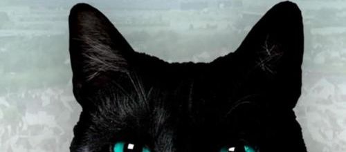 Une émission sur La Vie Secrète des Chats