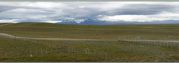 La Patagonie, une immensité sans bornes mais pas sans clôtures ! - Route vers El Calafate - Argentine