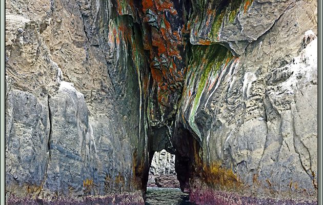 Dernières falaises, dernières grottes ...  - Nightingale Island - Tristan da Cunha