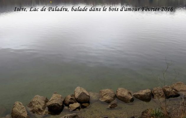 La montagne en février et avril 2016 Isère, Balade dans le bois d'amour, lac de Paladru et Chapelle des trois croix