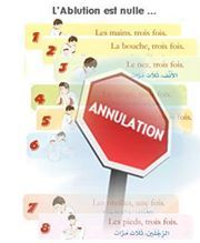 "Ce qui annule les ablutions"