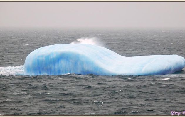 06/03/2022 : nouvelle journée de navigation très terne avec un petit intermède : nous passons au large de l'île Pierre 1er (Peter I Island) - Mer de Bellingshausen - Antarctique