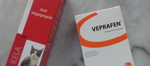 Le vétérinaire est venu