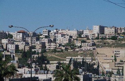 Jordanie (2) Amman(2)
