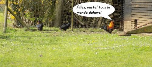Toute la pluie...
