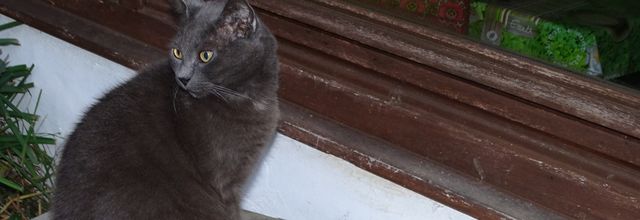 Enfin quelques minutes pour mon billet