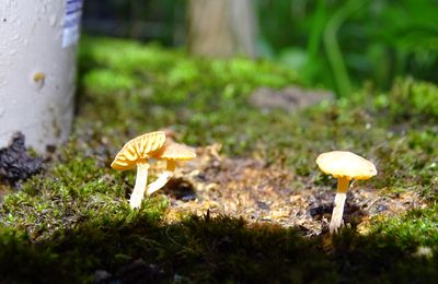 Les beaux ciels de chez moi