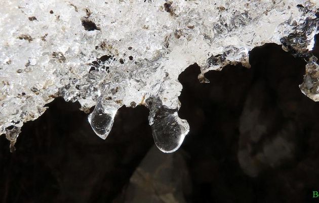 gouttes de neige