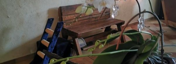 à     toutes     et     tous   une      bonne      fin    de     semaine