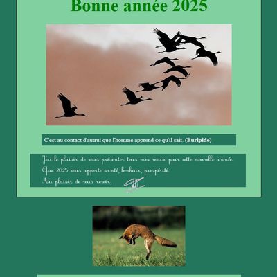 Bonne année 2025