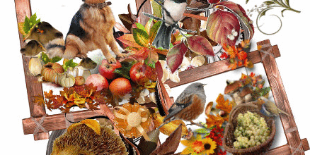 CREA D AUTOMNE