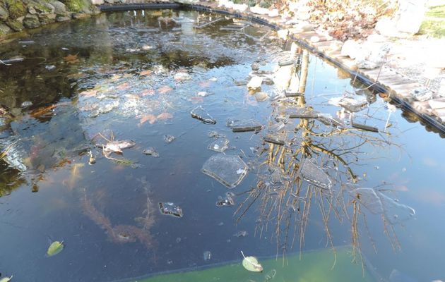 mon bassin de jardin sous la glace