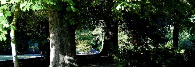 Metz / Suite d'une promenade d'été sous les arbres / 1...