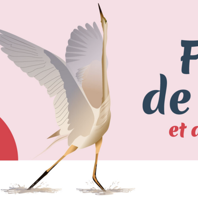 "Le jardin sauvage" et sept autres films du Festival de l'Oiseau sur Salamandre.tv 