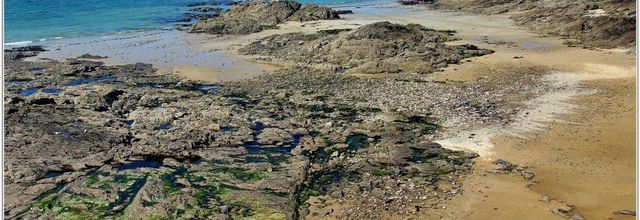 35 . Ille et Vilaine - Saint Malo (4)