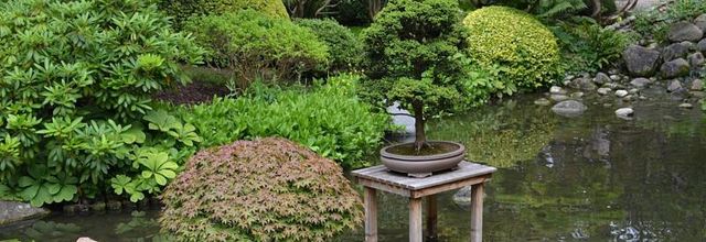Jardins Albert Kahn : Le Jardin Japonais
