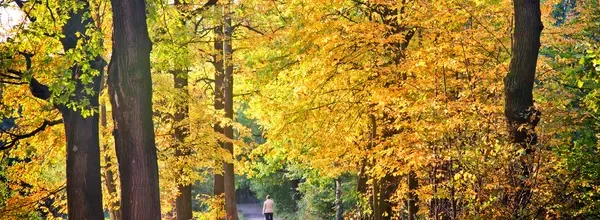 En septembre - Paul Verlaine  -