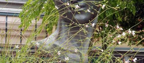 Un dimanche au parc (3)