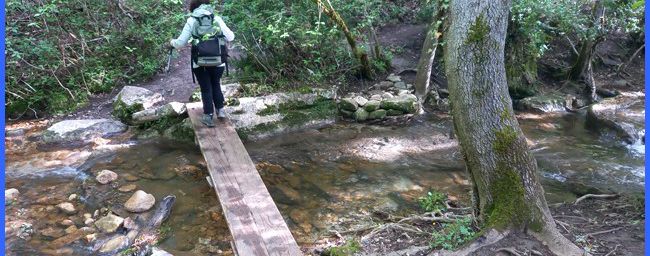 Sur les rives de l'Aiguebrun