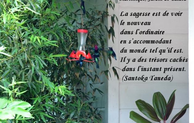 La sagesse ...