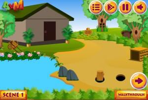 AVM Adventure forest house soluce
