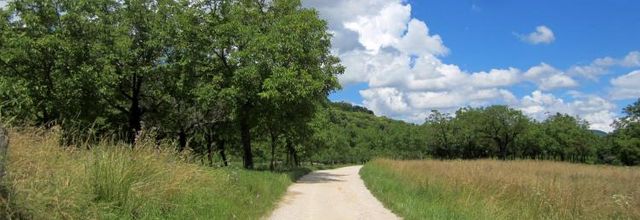 La campagne dauphinoise après l'orage..