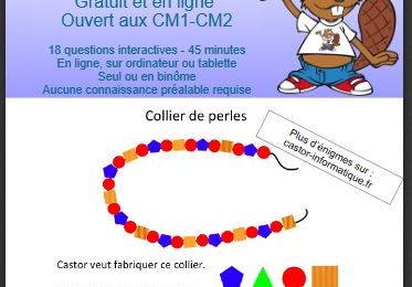 Concours Castor Informatique