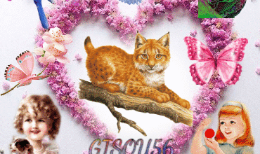 ANIMAUX PAPILLINS FILLETTE