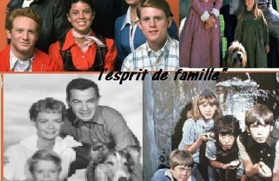 Nostalgiques ? 70's les séries TV (partie 1)