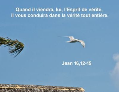 HOMÉLIE de la Fête de la Sainte Trinité - 15 juin 2025