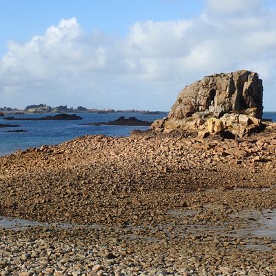 Plougrescant à marée basse