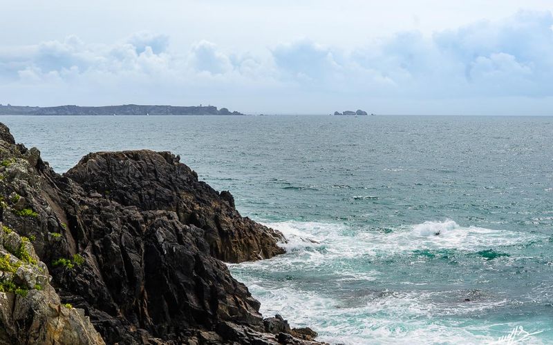 Armor & Argoat 2021 - Un Minou particulier (2)