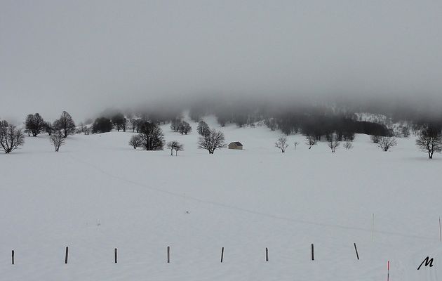 Le 09/03/2017 : Re les Solives mais à skis - 2