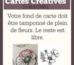 Passion Cartes Créatives#527 / CarteManiak#174 !
