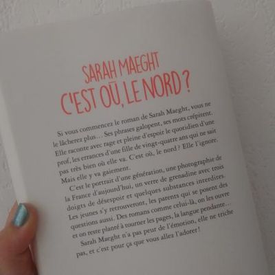 "C'est où, le Nord ? " de Sarah Maeght