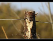 Pour suivre le chemin...