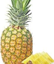 Le FUMEUX ananas jaune et sucré du Costa-Rica ... 